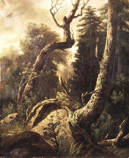 skagen museum Forest Landscape oil painting picture